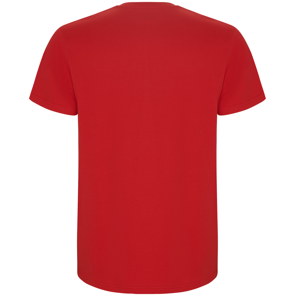 Camiseta niño premium personalizada