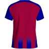 Camiseta multideporte sublimada modelo Ayamonte rayas