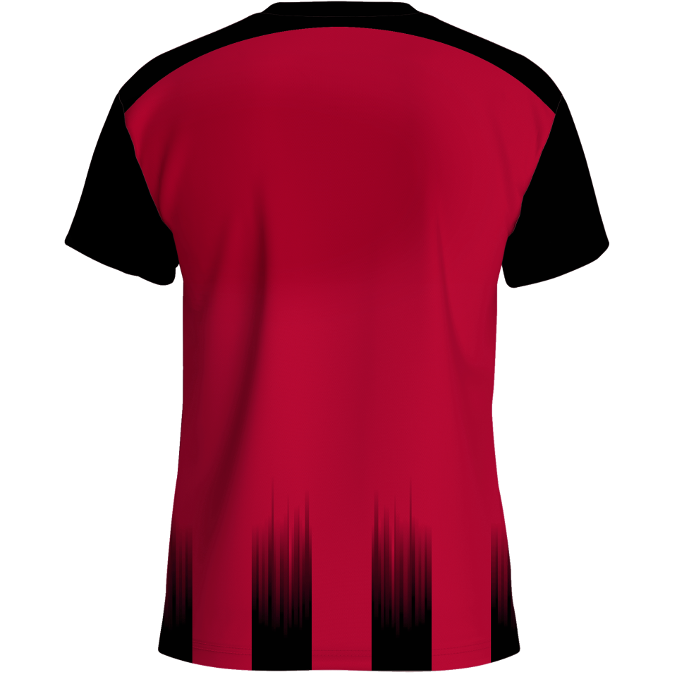 Camiseta multideporte sublimada modelo Ayamonte rayas