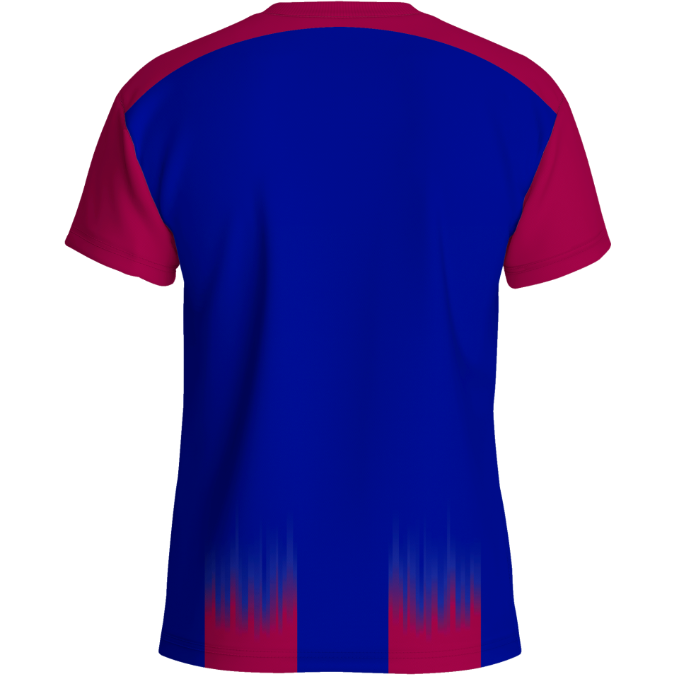 Camiseta multideporte sublimada modelo Bigas rayas