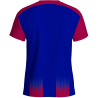 Camiseta multideporte sublimada modelo Bigas rayas