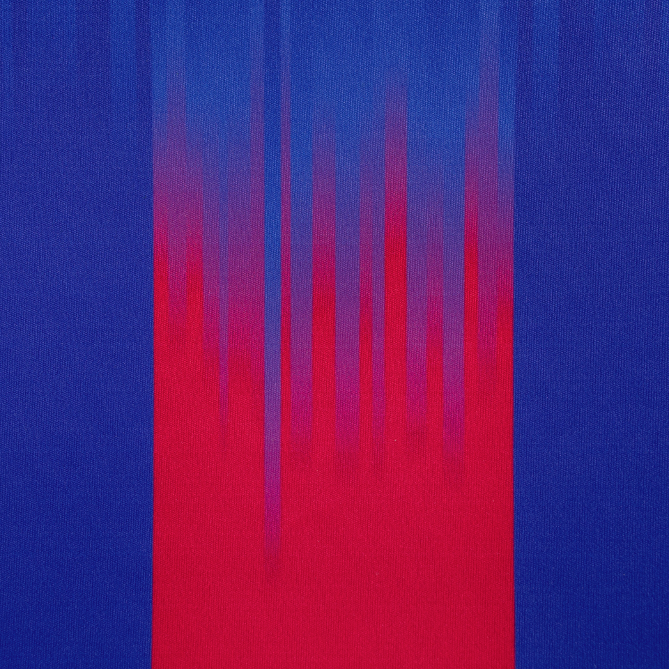 Camiseta multideporte sublimada modelo Bigas rayas