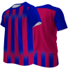 Camiseta multideporte sublimada modelo Inter rayas