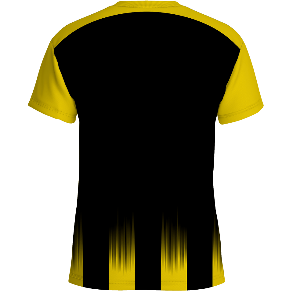 Camiseta multideporte sublimada modelo Málaga rayas