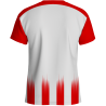 Camiseta multideporte sublimada modelo Real rayas