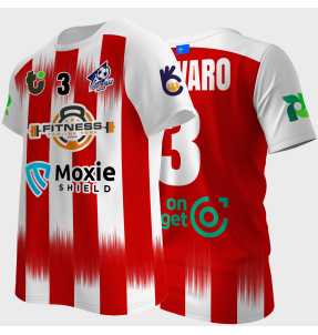 Camiseta multideporte sublimada modelo Madrid rayas