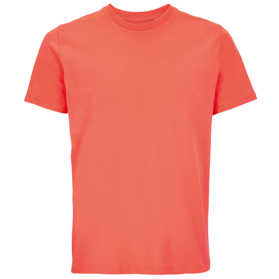 Camiseta 3XL algodón orgánico modern fit personalizada