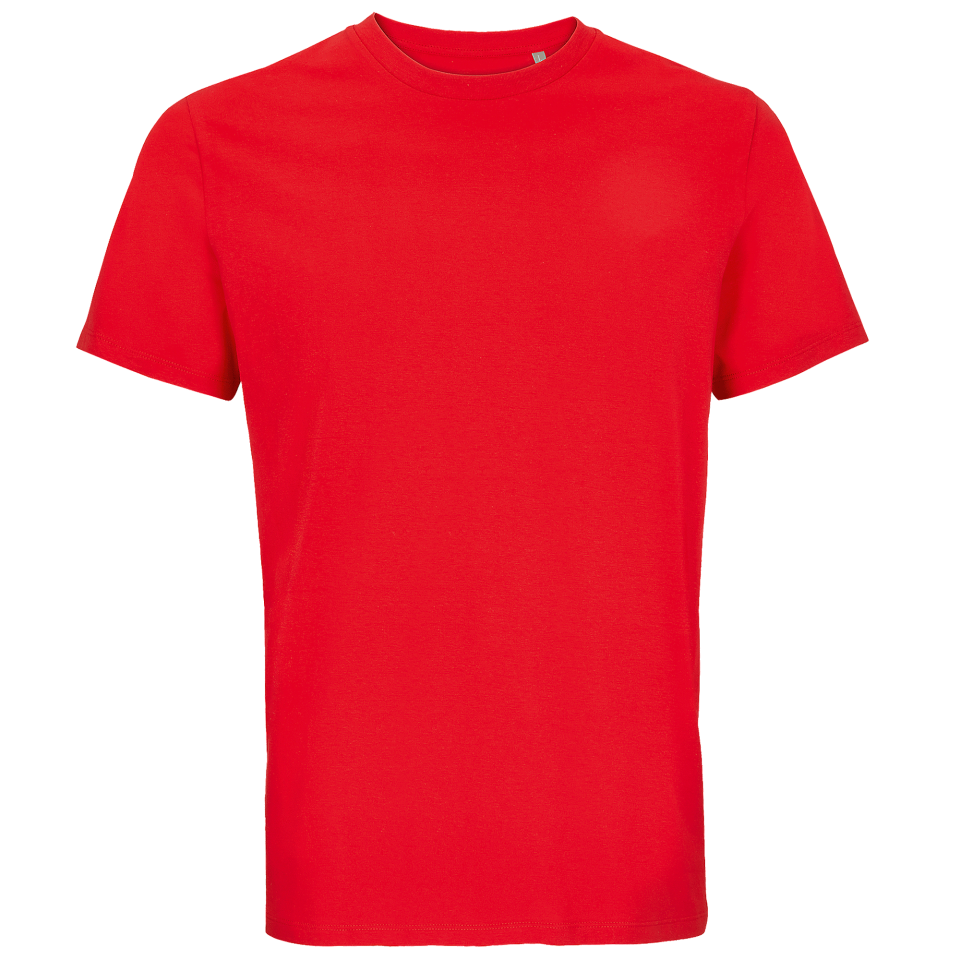 Camiseta 3XL algodón orgánico modern fit personalizada