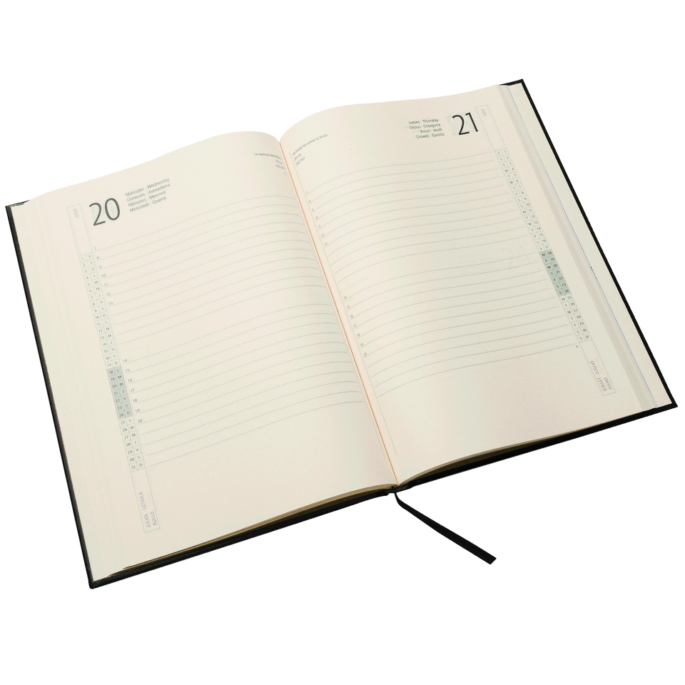 Agenda Selkis 2027 personalizada