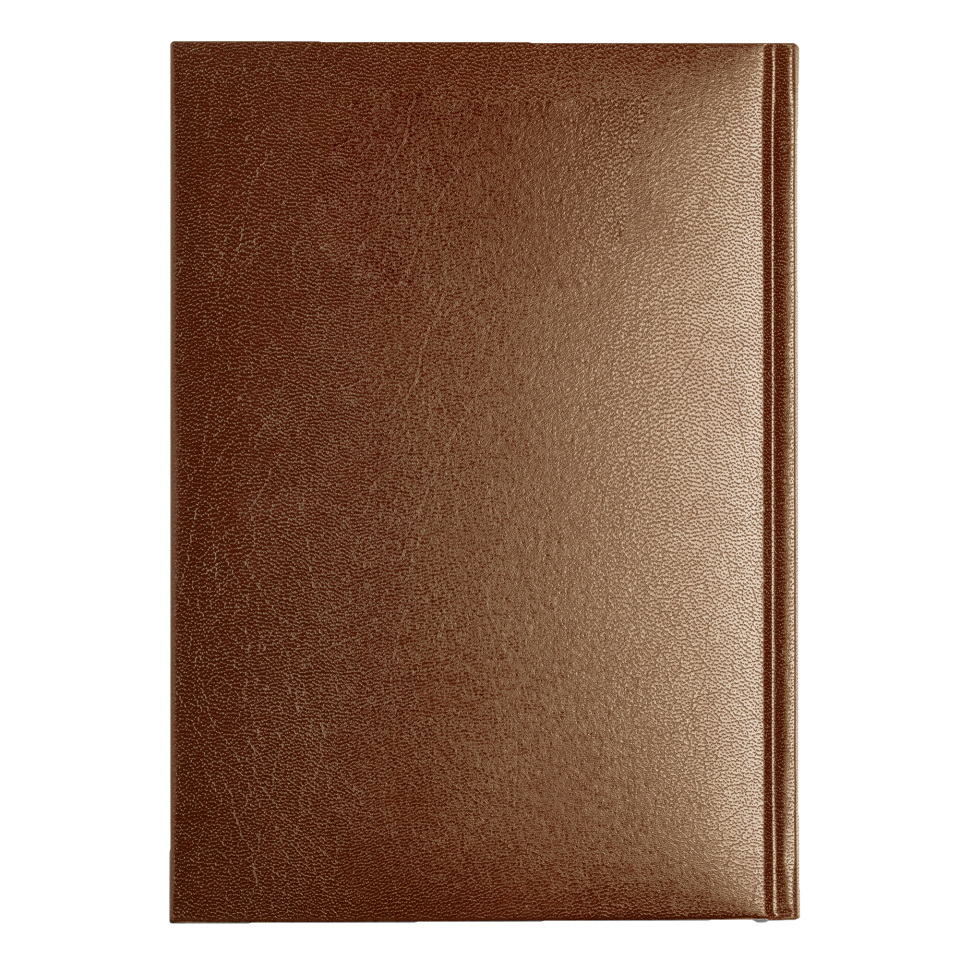 Agenda Selkis 2027 personalizada