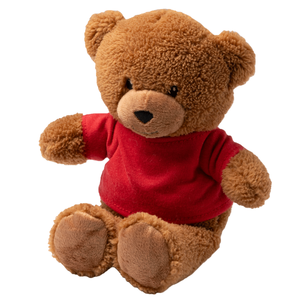Oso de peluche personalizado