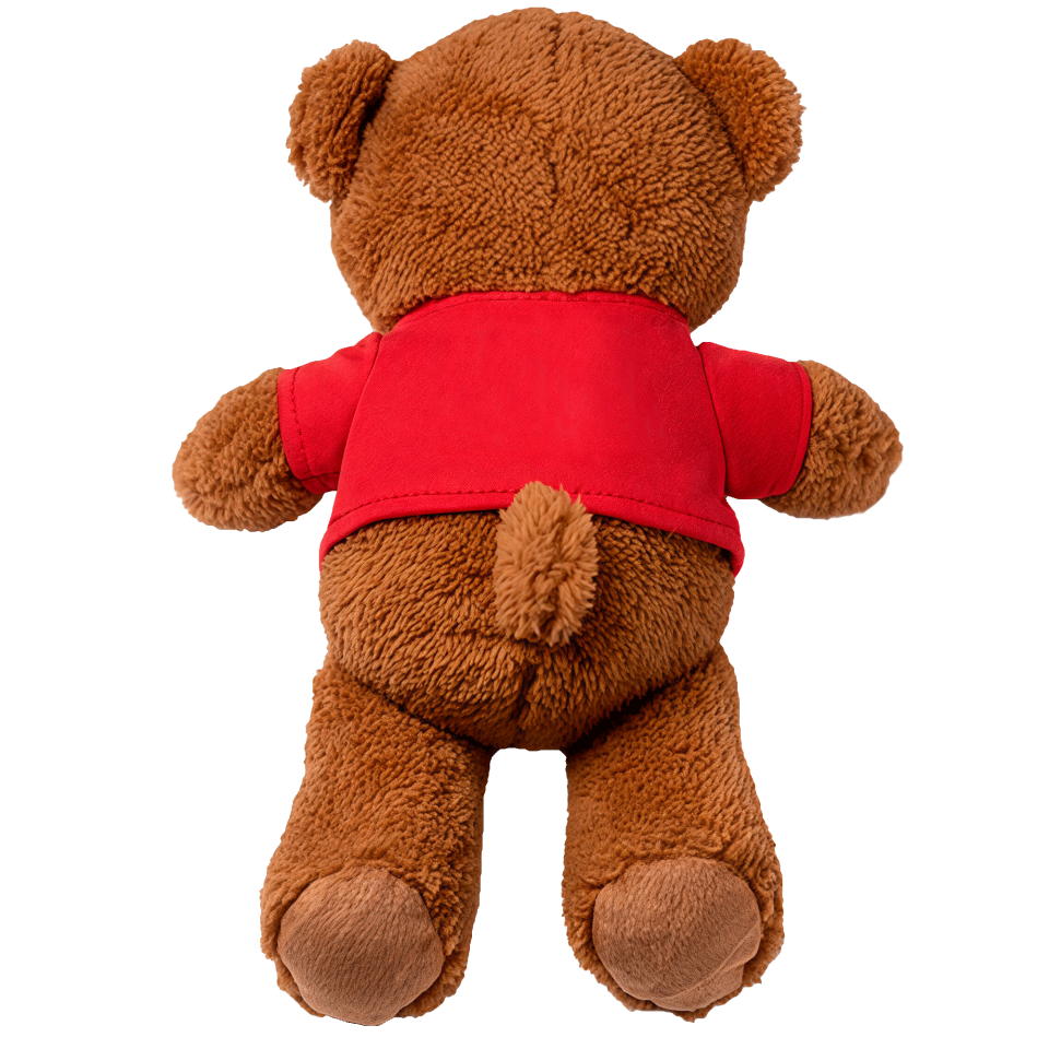 Oso de peluche personalizado