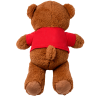 Oso de peluche personalizado