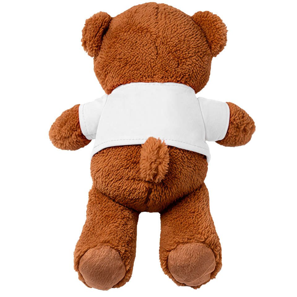 Oso de peluche personalizado