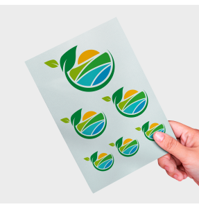 DTF Eco Impreso Todo Color Diferentes Tamaños