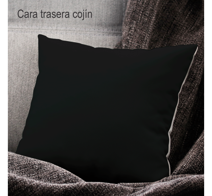 Cojín cuadrado 40x40cm personalizado por delante