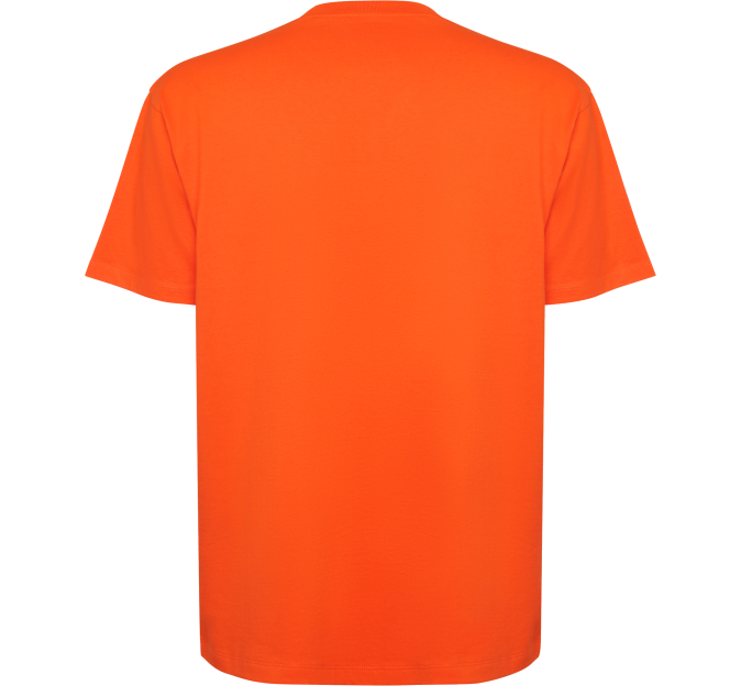 Camiseta oversize Bull personalizada