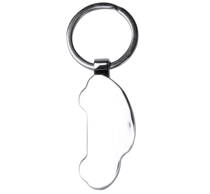 Llavero forma coche Stamina TESLAR