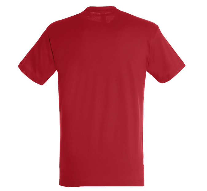 Camiseta especial despedidas de soltero/a personalizada