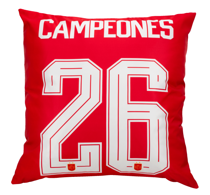 Cojín Campeones del Mundo