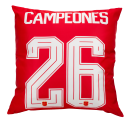 Cojín Campeones del Mundo