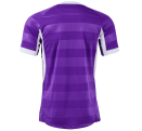 Camiseta de fútbol Joma TOLETUM VII personalizada