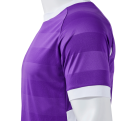 Camiseta de fútbol infantil Joma TOLETUM VII personalizada