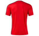 Camiseta de fútbol Joma PICASHO CITY personalizada