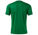 Camiseta de fútbol Joma PICASHO CITY personalizada