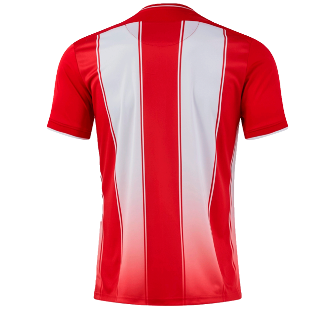 Camiseta de fútbol Joma TIGER VIII personalizada