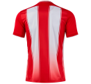 Camiseta de fútbol Joma TIGER VIII personalizada