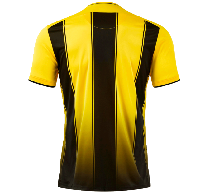 Camiseta de fútbol infantil Joma TIGER VIII personalizada
