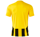 Camiseta de fútbol Joma INTER VI personalizada