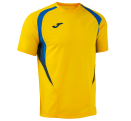 Camiseta de fútbol poliéster reciclado Joma CHAMPIONSHIP 20º personalizada