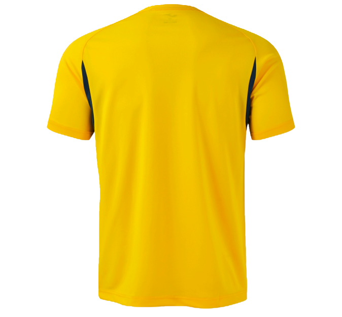 Camiseta de fútbol poliéster reciclado Joma CHAMPIONSHIP 20º personalizada