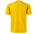 Camiseta de fútbol poliéster reciclado Joma CHAMPIONSHIP 20º personalizada