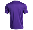 Camiseta Joma CHAMPIONSHIP VIII personalizada