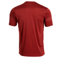 Camiseta Joma CHAMPIONSHIP VIII personalizada