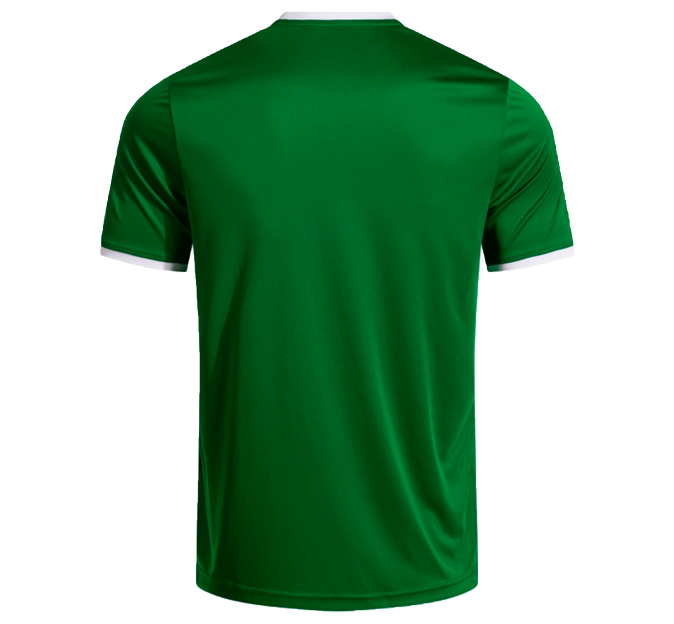 Camiseta Joma COMBI PREMIUM personalizada
