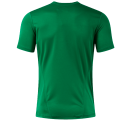 Camiseta balonmano Joma PHOENIX III personalizada