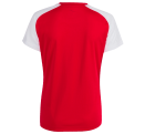 Camiseta de mujer Joma ACADEMY IV personalizada