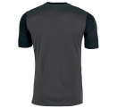 Camiseta Joma WINNER personalizada