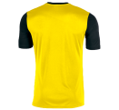 Camiseta Joma WINNER personalizada