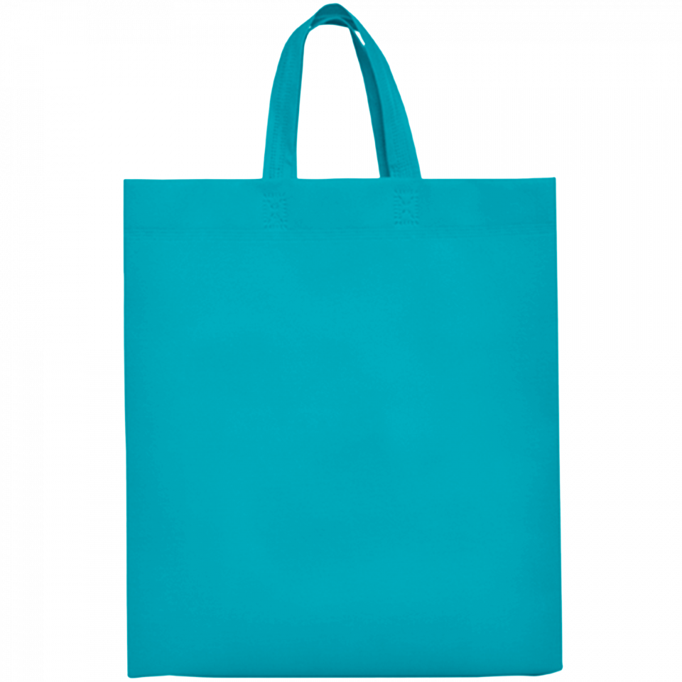 Bolsa de non-woven Lake 100 g/m2 personalizada