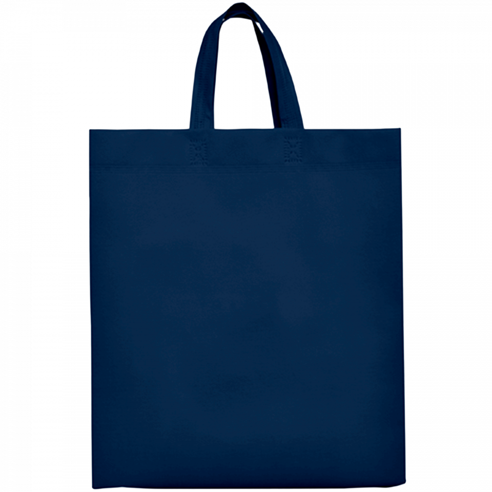 Bolsa de non-woven Lake 100 g/m2 personalizada