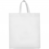 Bolsa de non-woven Lake 100 g/m2 personalizada