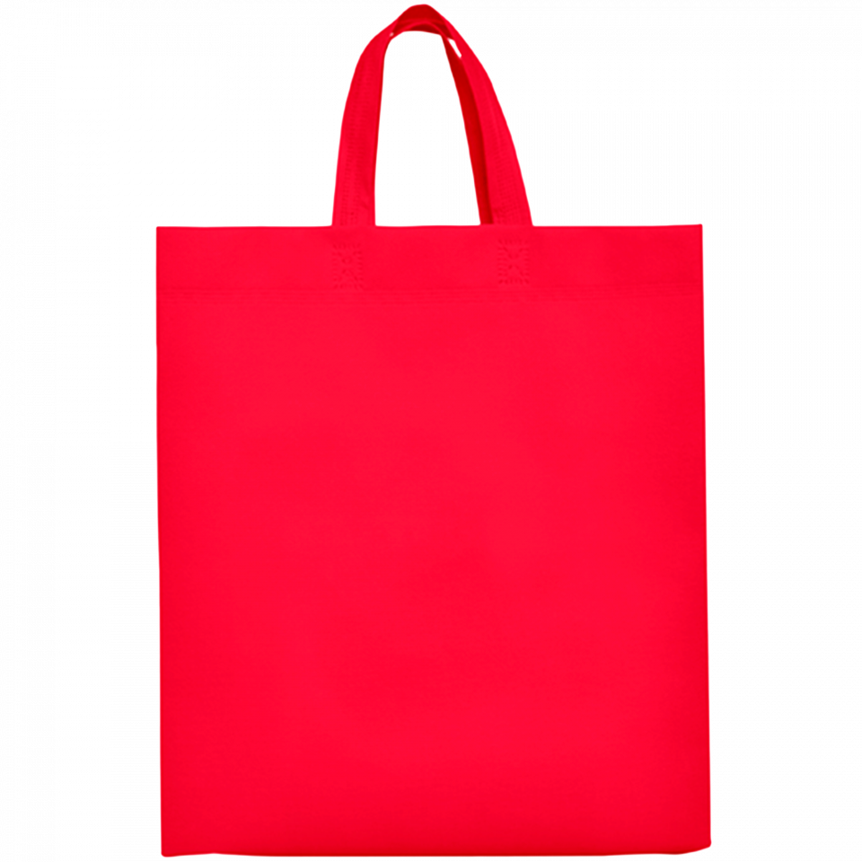 Bolsa de non-woven Lake 100 g/m2 personalizada