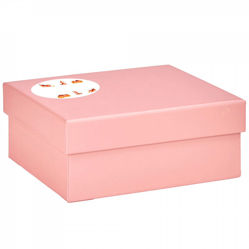 Caja cartón para hogar prediseñada