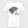 Camiseta despedida de soltero: wedding is coming