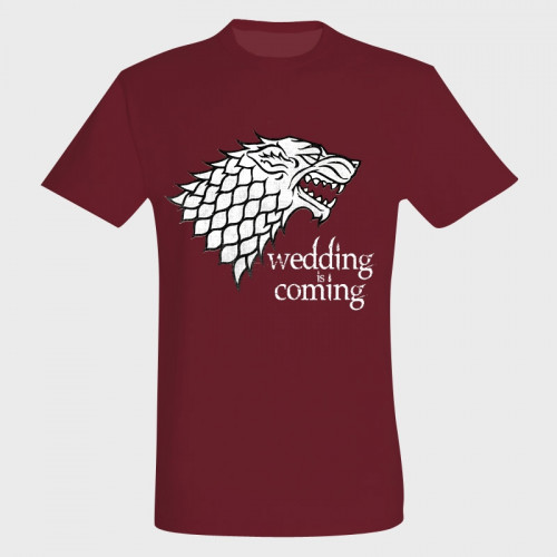 Camiseta despedida de soltero: wedding is coming